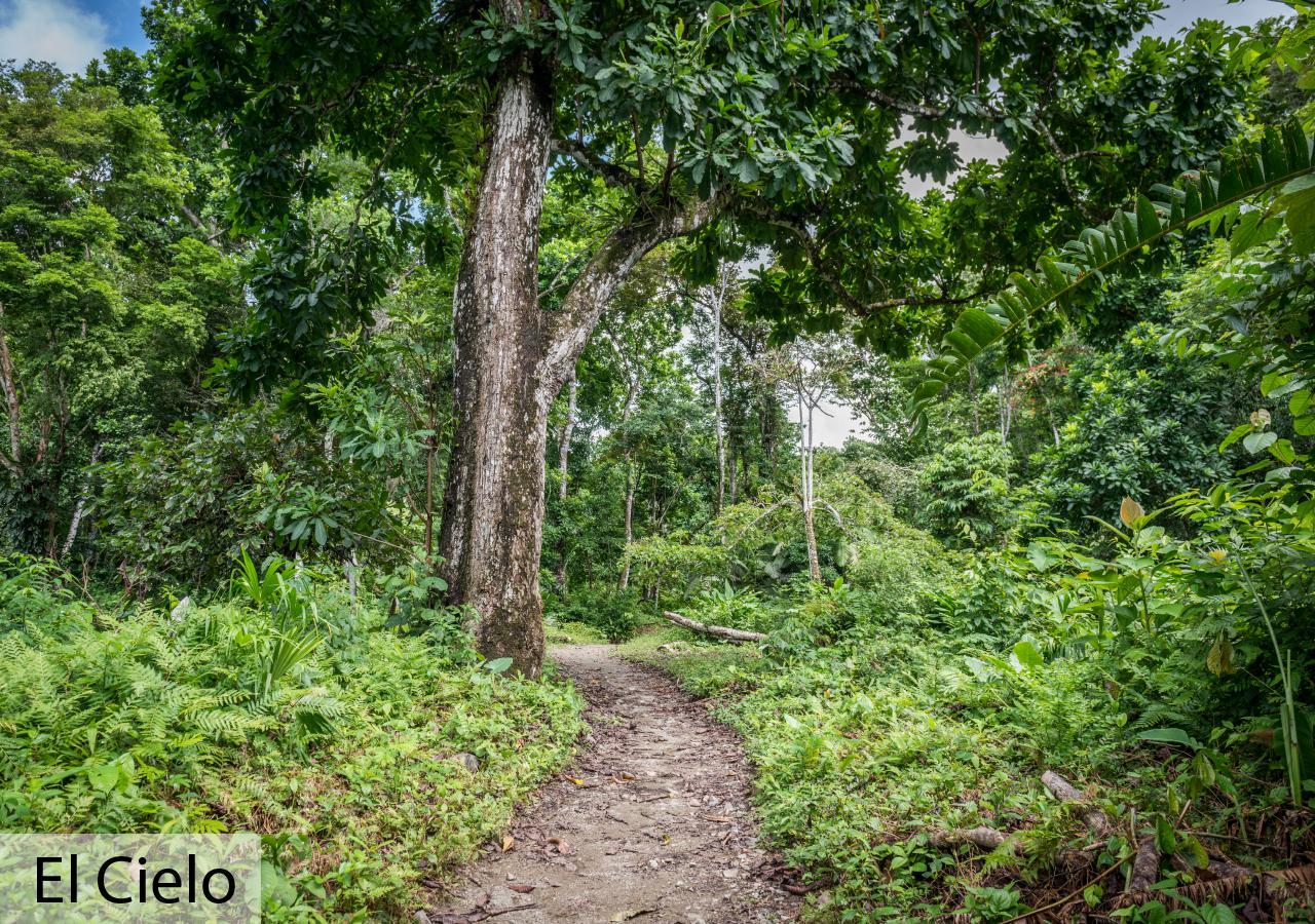 Tacarcuna Lodge Capurgana Luaran gambar