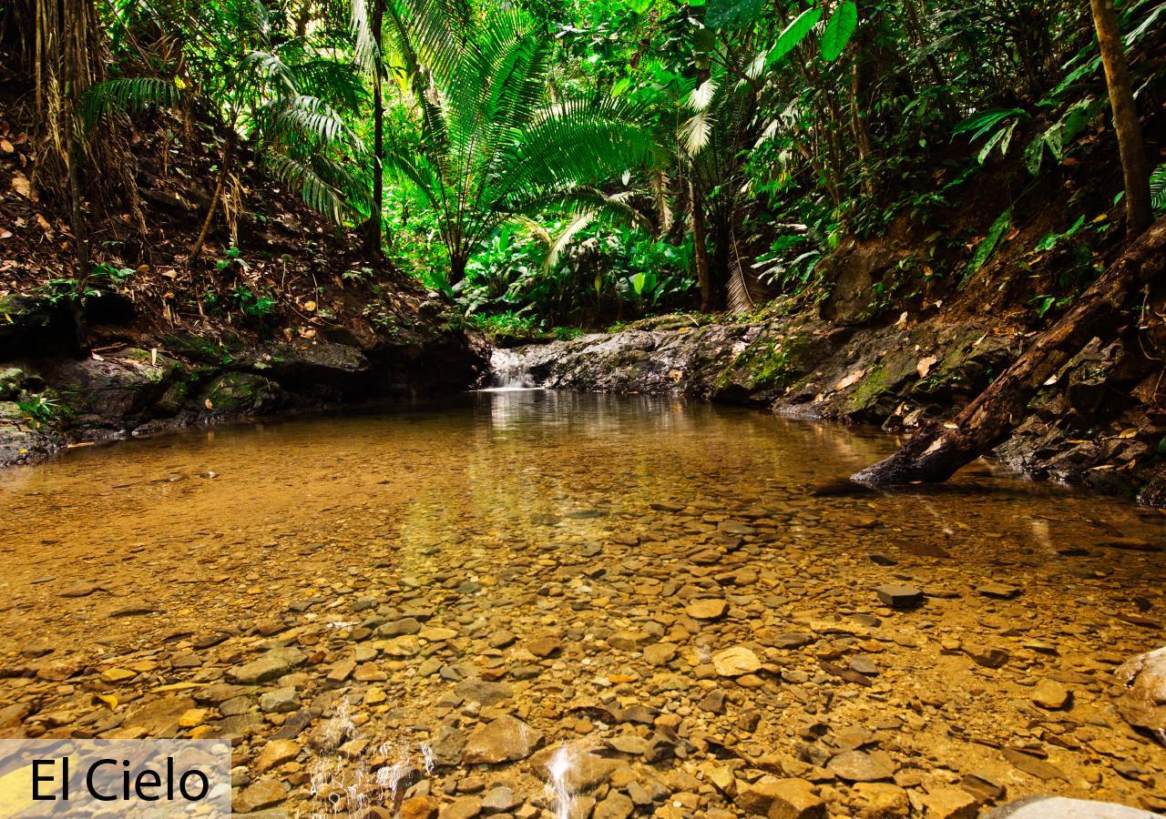 Tacarcuna Lodge Capurgana Luaran gambar